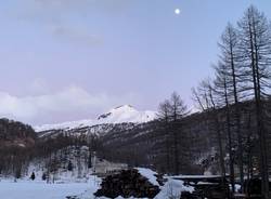 Alpe Devero foto Pika