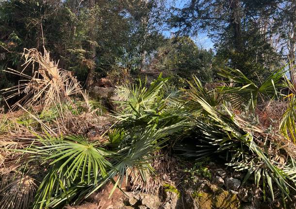 Lavori parco del Monte del Prete di Ispra