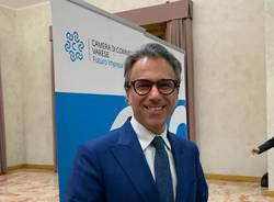 mauro vitiello camera di commercio