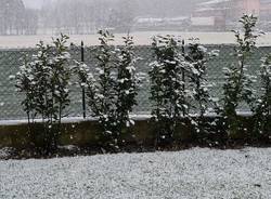 neve cugliate 17 gennaio 2023