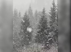 nevicata cuasso