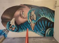 street art Verbania