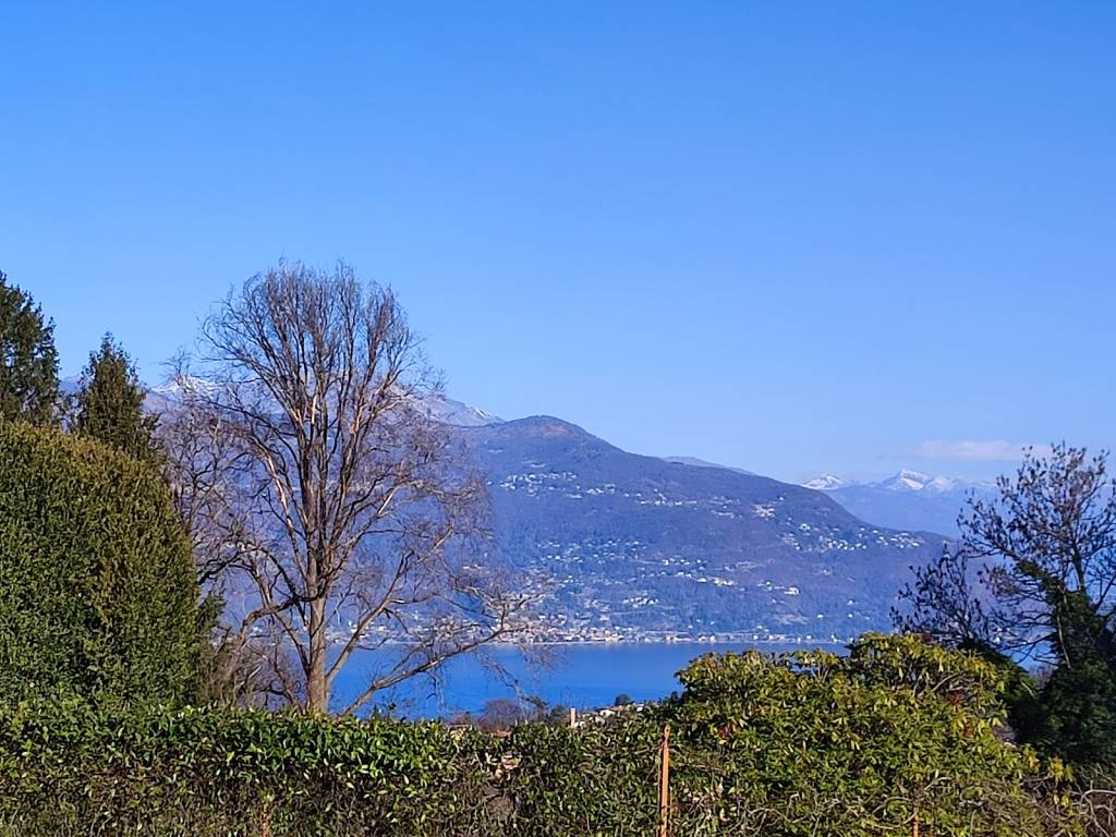 Sarigo - foto di Marzia Malesani