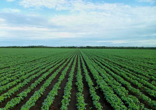 campo agricoltura