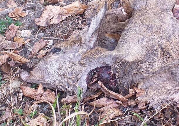 Generico 20 Mar 2023