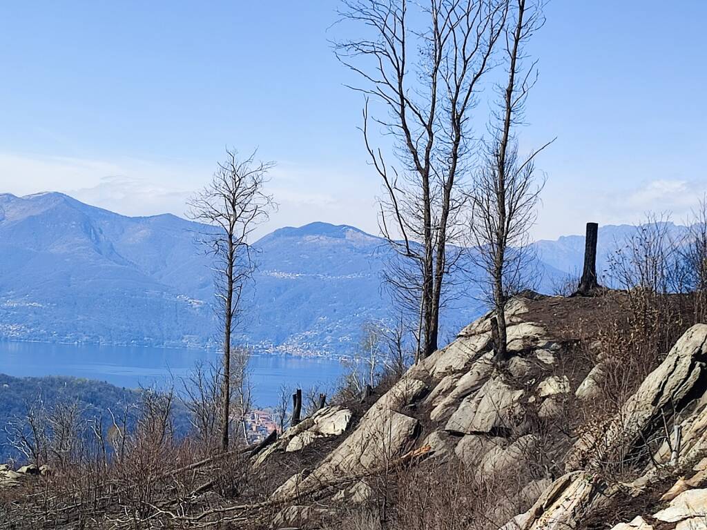 incendio montegrino pineta marzia malesani