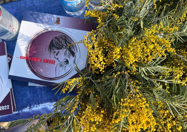 La campagna della Polizia di Stato "Questo non è amore" a Laveno Mombello 