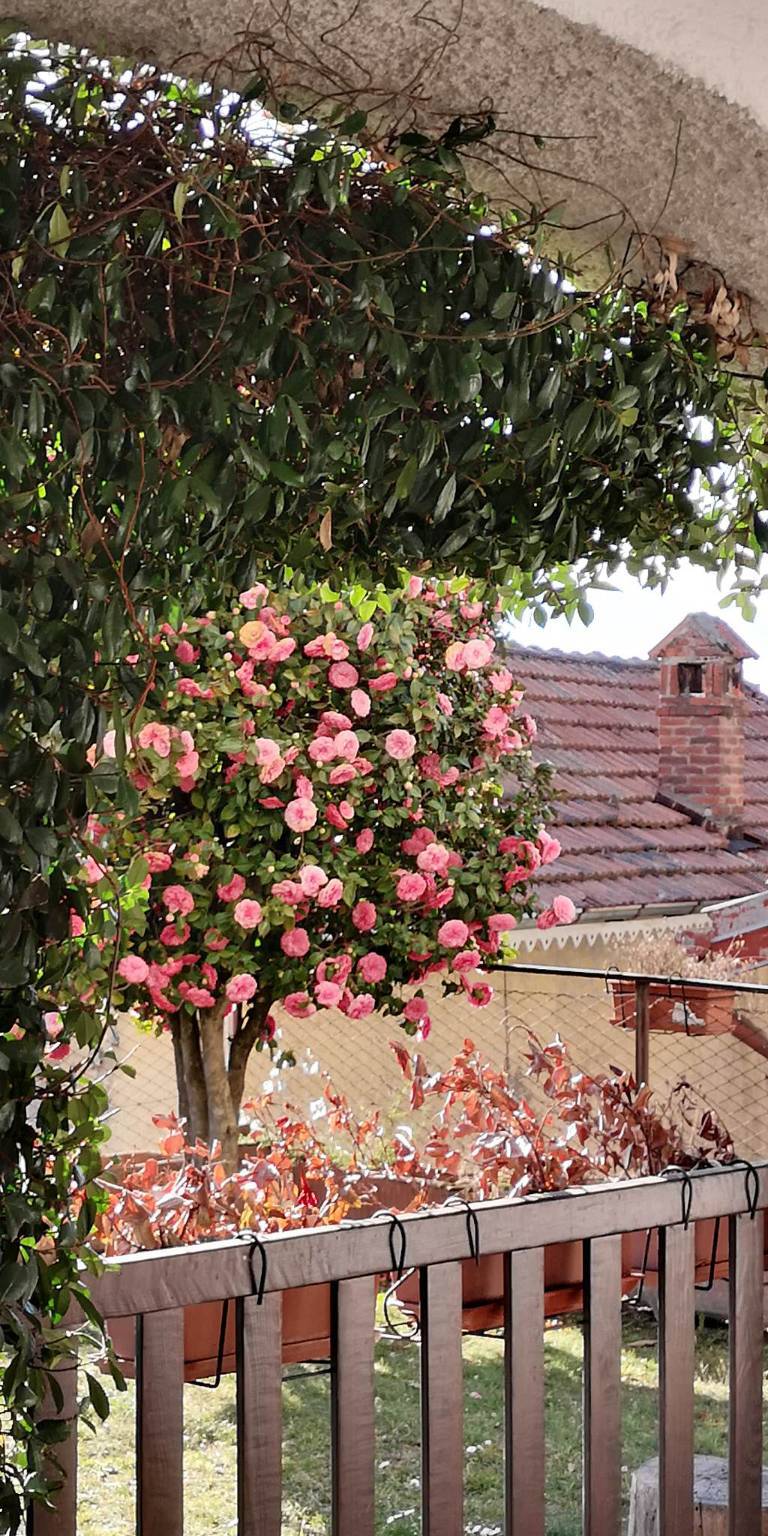 La frazione di Musignano di Maccagno con Pino e Veddasca 