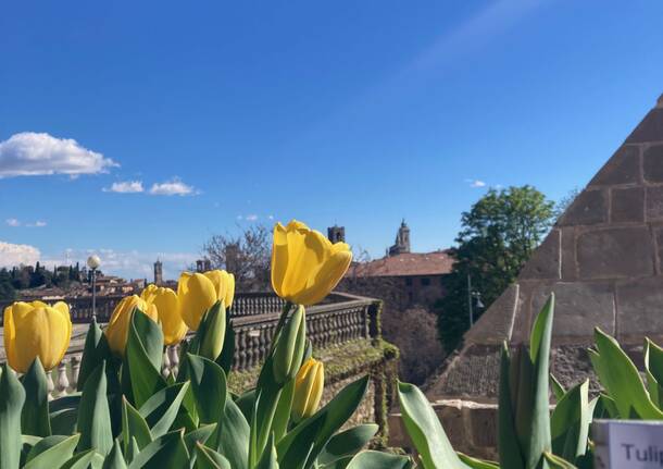 Lombardia - La primavera nei parchi lombardi