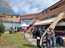 casa di riposo casalzuigno longhi pianezza