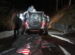 Generico 17 Apr 2023