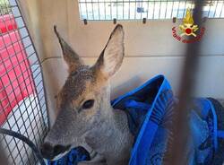 Generico 27 Mar 2023