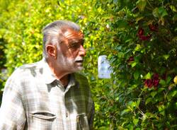 Il labirinto delle camelie di Laveno Mombello