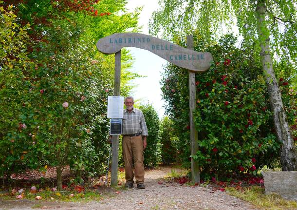 Il labirinto delle camelie di Laveno Mombello