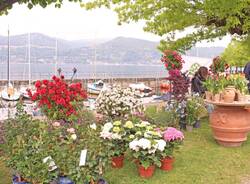 Infiorita Ispra 2023