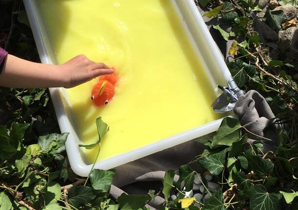 La giornata mondiale della Terra dei bambini dell'Asilo di Laveno