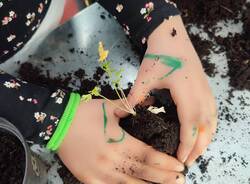 Laboratorio - Vivaio didattico Taino