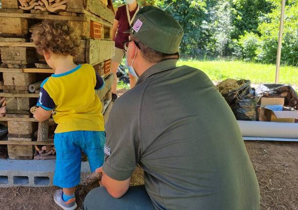 Bioblitz Parco Pineta