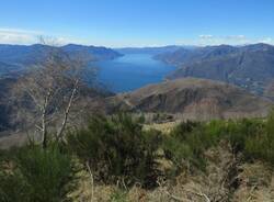 bosco campo dei fiori