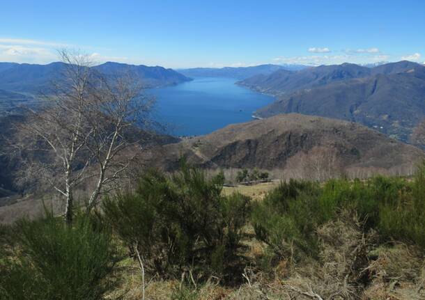 bosco campo dei fiori