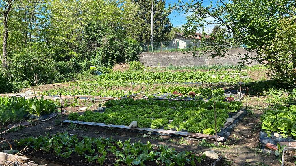 Cascina Nazè Laveno Mombello 