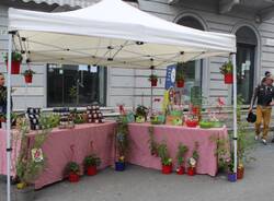 festa primavera nuova pro loco luino 2023