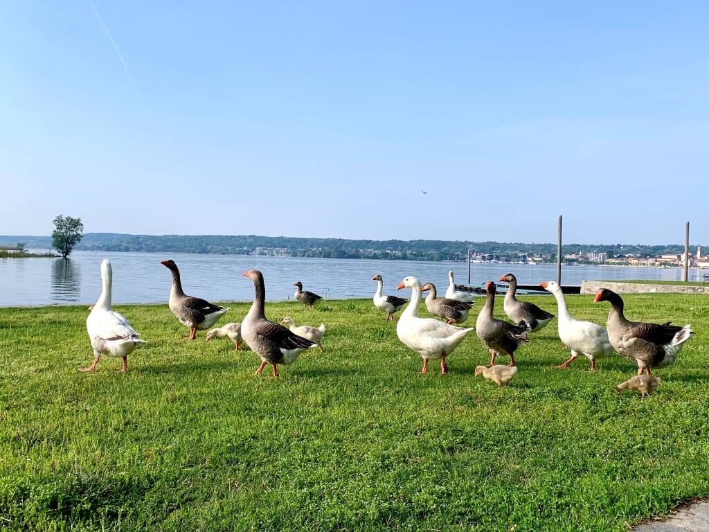 Generico 01 May 2023