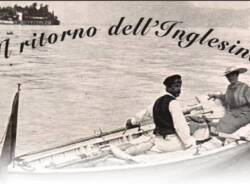 inglesina