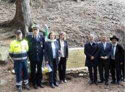 tragedia mottarone