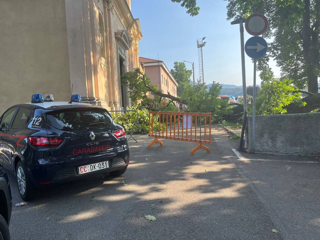 Cade un ramo a Luino, 5 feriti