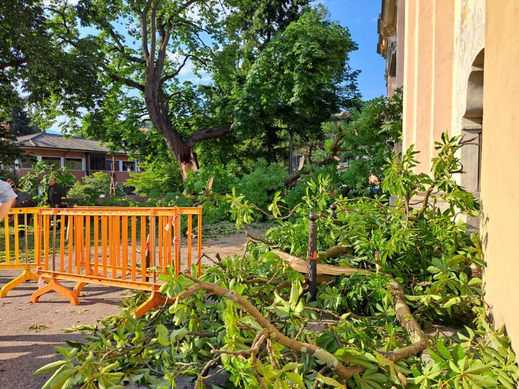 Cade un ramo a Luino, 5 feriti