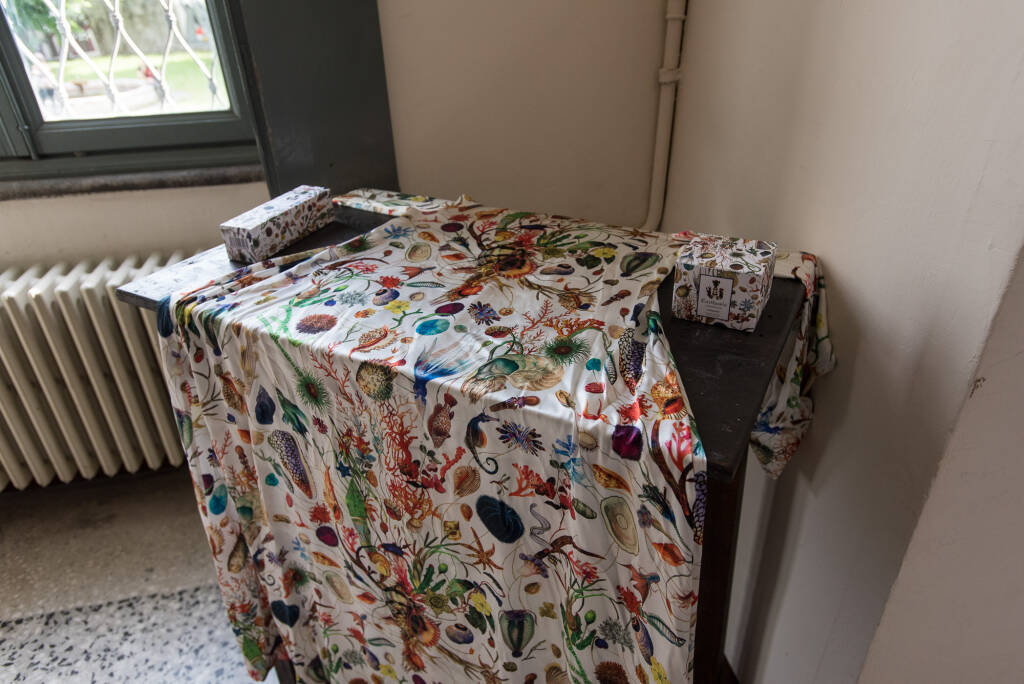 Festival Di-Se Domodossola