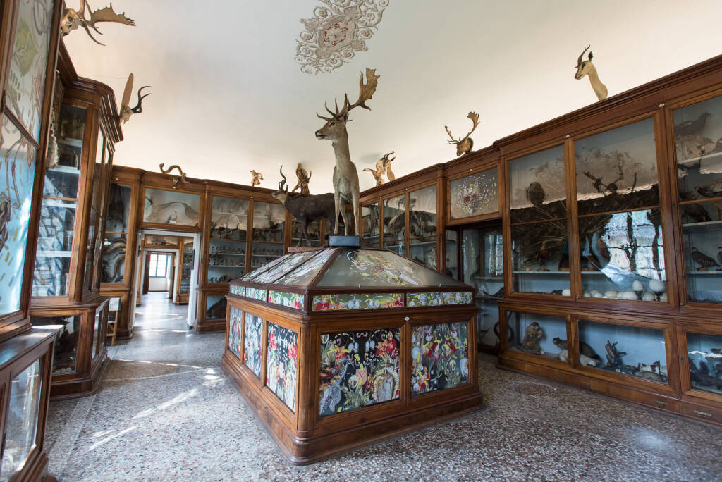 Festival Di-Se Domodossola