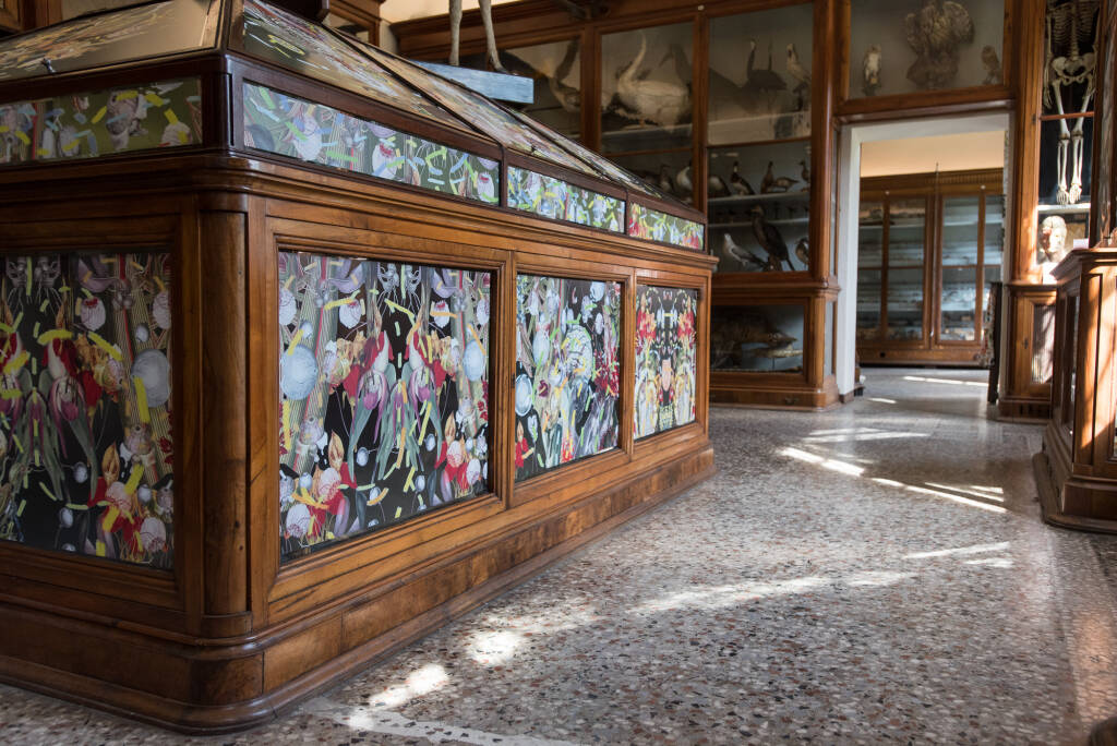 Festival Di-Se Domodossola