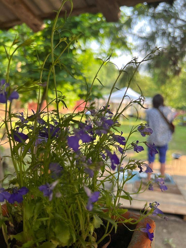L'8 e il 9 luglio Porte Aperte in Cascina Nazè a Laveno Mombello 