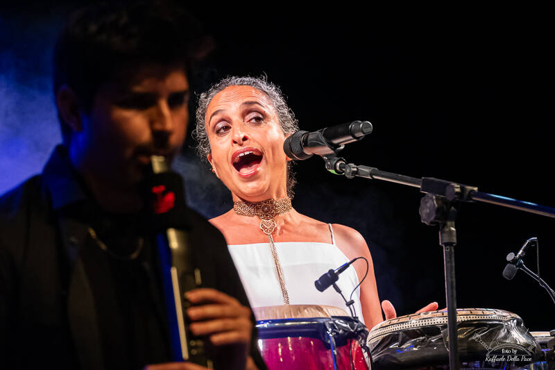 L'arca di Noa ad Arona - Foto di Raffaele Della Pace