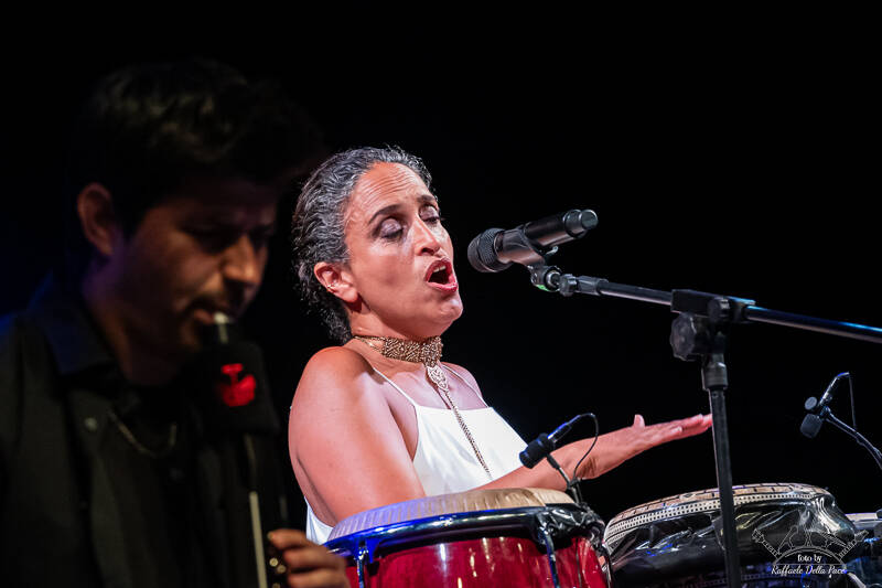 L'arca di Noa ad Arona - Foto di Raffaele Della Pace