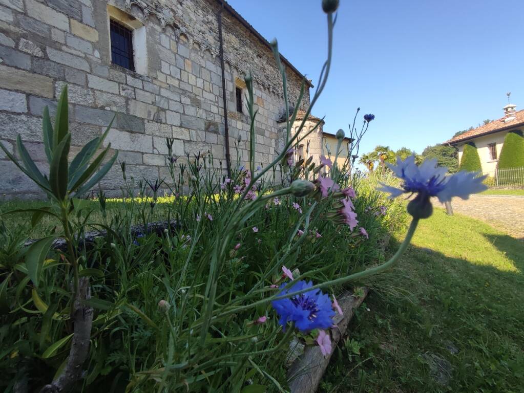 La canonica di Brezzo di Bedero