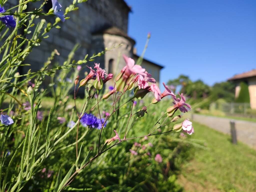 La canonica di Brezzo di Bedero