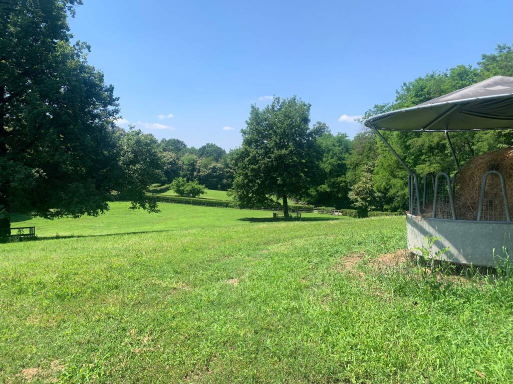 La Cucchetta a Dormelletto