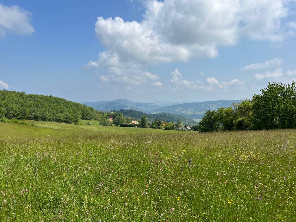 La via degli dei