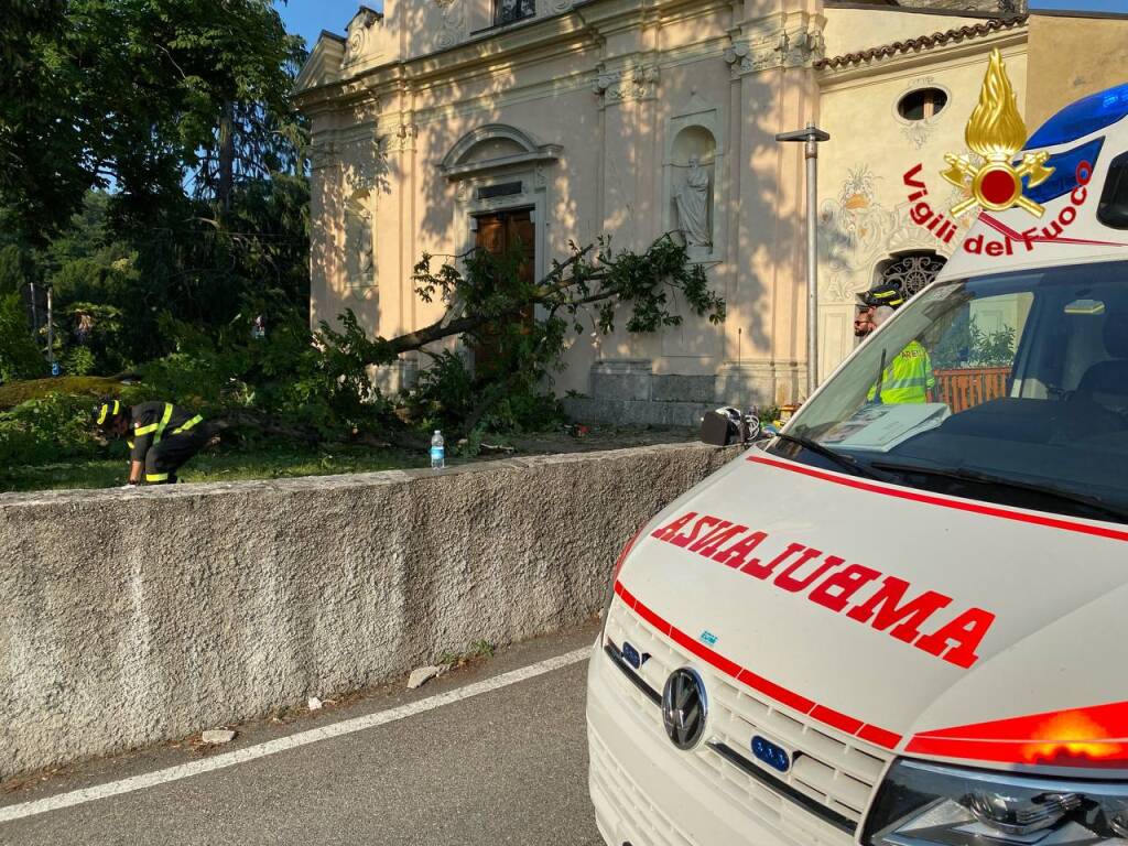 luino caduta ramo