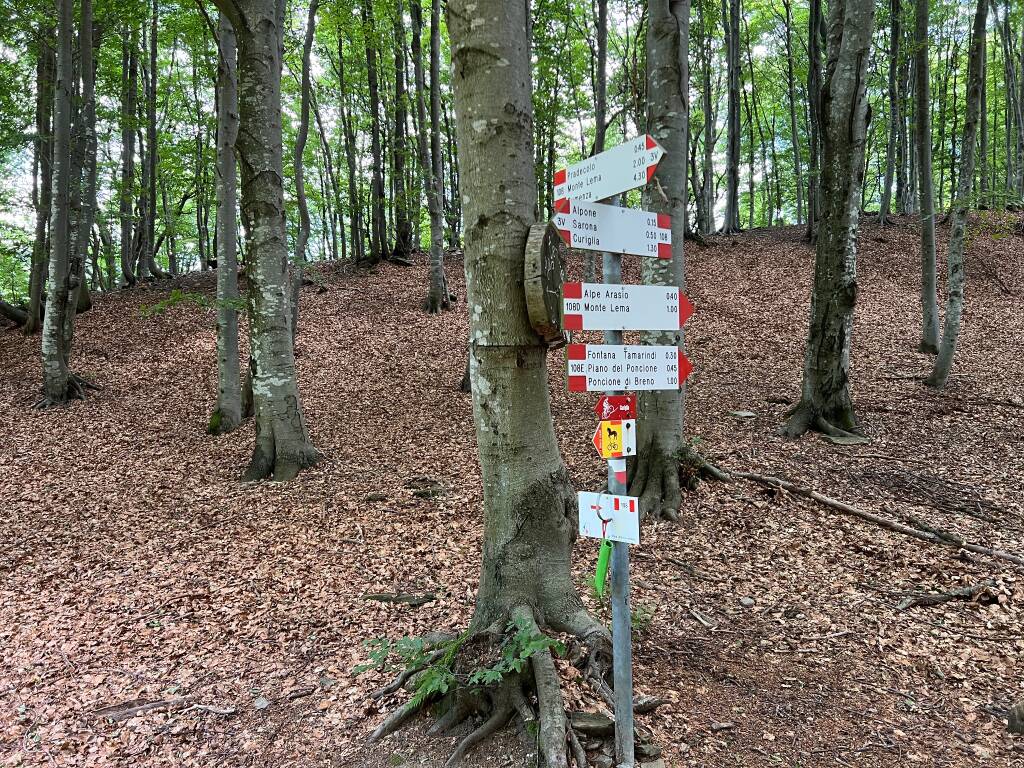 Monte Lema 