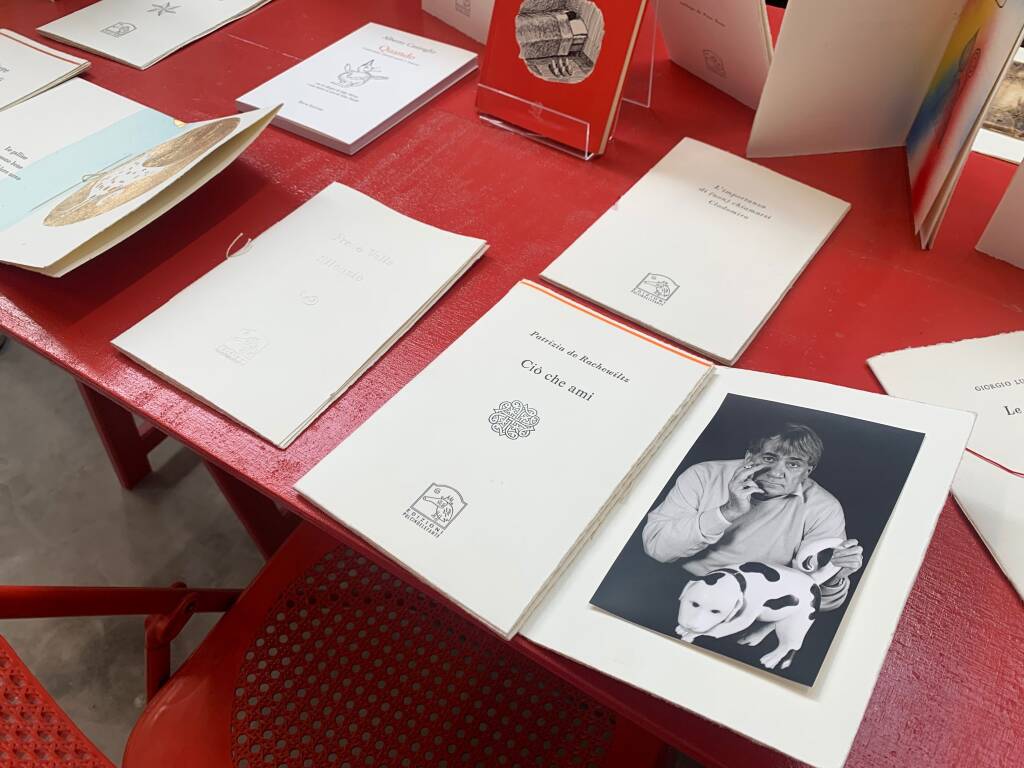 Pulcinoelefante al Kapannone di Angera