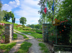 Roseto Martinello Vararo