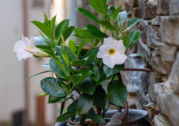 Il piccolo borgo di Biegno