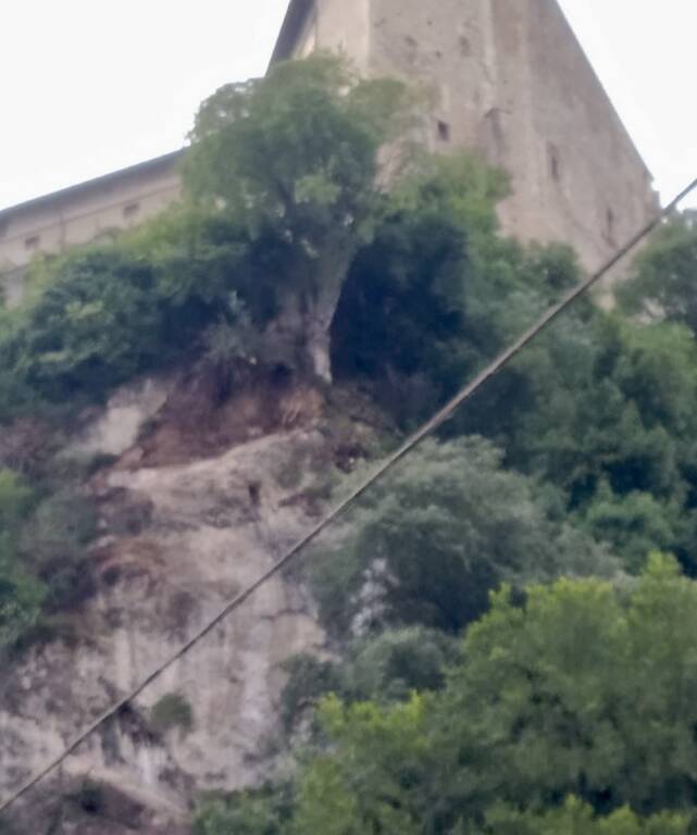 Frana Angera 