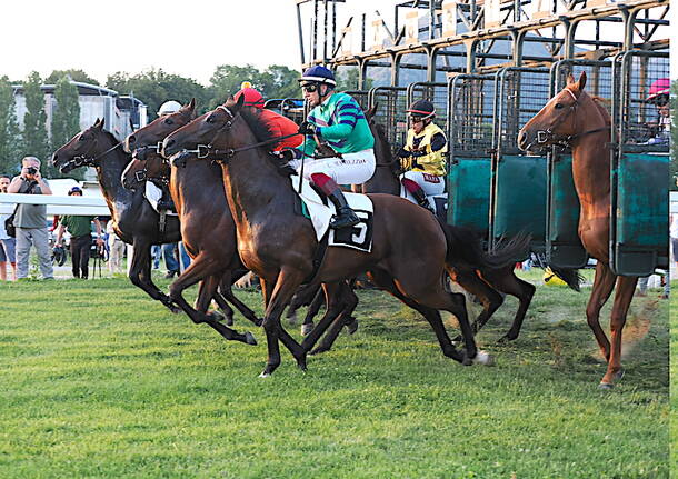 ippodromo varese