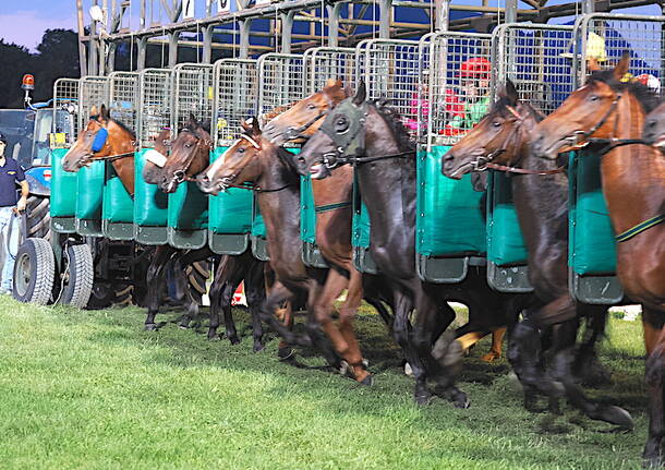 Varese - Premio "La Novella" all'ippodromo delle Bettole di Varese - foto di Roberto Gernetti