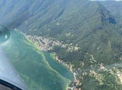 ALGHE NEL CERESIO